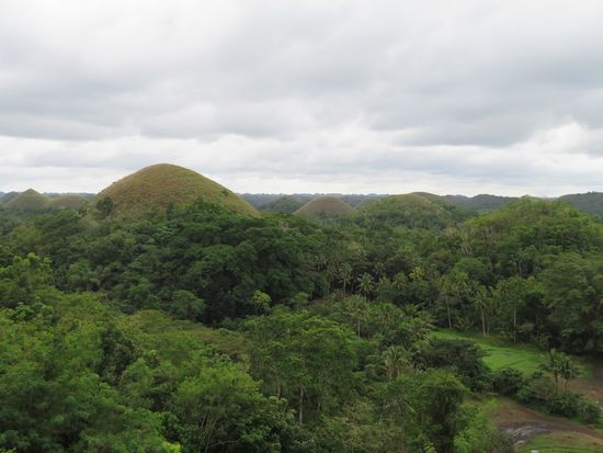 Nächster Stop: die Chocolate-Hills. Das ist schon eher was für einen alten Geometer.