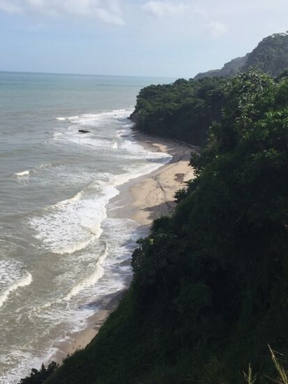 Strand in einiger Entfernung von Palomino.
PS. Der Strand in Palomino war im Dez. 2019 zu großen Teilen weggeschwemmt, sodaß Spazierengehen nicht recht möglich war.