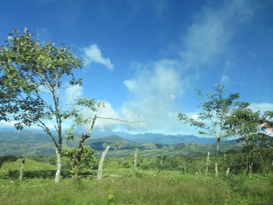 Wir nehmen den Mini-Bus morgens von David nach Bocas. Die Landschaft verändert sich.