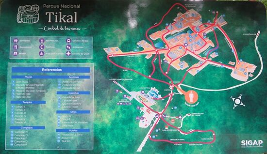 Tikal erstreckt sich über ein Gebiet von etwa 65 Quadratkilometern, wovon der zentrale Bereich rund 16 Quadratkilometer einnimmt, welcher über dreitausend Bauten aufweist. Viele Gebäude (schätzungsweise an die 10.000 Gebäude, insbesondere in den Außenbereichen) sind noch nicht ausgegraben und erforscht worden. Seit 2018 gehen Forscher davon aus, dass die Umgebung von Tikal mindestens eine Million Menschen zählte.
TIP. Wir nehmen den Weg - vom Männlein aus - nach rechts außen und gehen dann gegen den Uhrzeigersinn eine große Runde, ca. 8km. Der sog. Große Platz kommt dann zum Schluß.