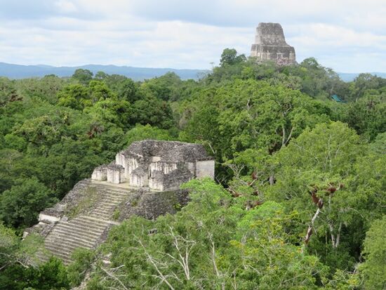 ... über Tikal und Dschungel.