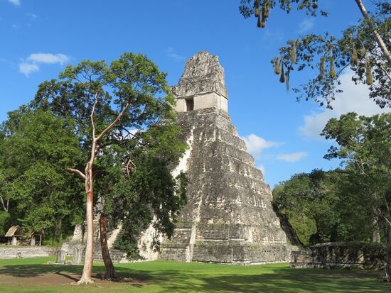 Die beiden den Großen Platz flankierenden Tempel I und II gehören mit ihren Höhen von 47 m und 40 m zu den höchsten Stufentempeln Mittelamerikas. Zum Heiligtum des Tempels I (auch bekannt als Tempel des Großen Jaguars) in etwa 35 m Höhe führen genau 100 Stufen empor.