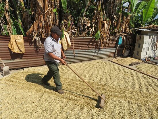 ... der wird zum Trockenen immer wieder gewendet ...