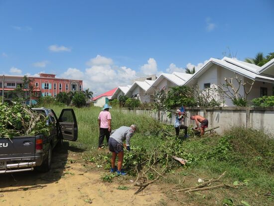 Schon an den ersten Tagen wird heftig gearbeitet; Hillo, Gerd, Jane und ihr Bruder Num packen kräftig zu. Die Bäume und Sträucher zum Nebengrundstück werden radikal beschnitten. Eine Schweine-Arbeit bei der Hitze, zumal einige der Bäume Scharen von Bienen beherbergen, die sich natürlicherweise gestört fühlen.