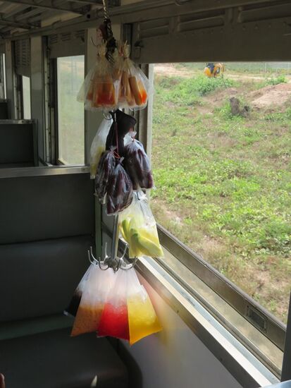 ... unterbrochen nur durch die vielen Verkäufer, die den Zug langlaufen, um ihre kleinen Speisen (was immer es sein mag!!!) und Getränke anzubieten - klar, alles in Plastik. Das bleibt dann liegen - oder fliegt zum Fenster raus. "Deshalb die offenen Fenster" meint Erich.