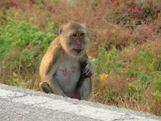 ... Zaungäste an den Straßen ...