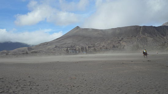 Weg zum Bromo, für diejenigen die nicht gehen wollten, konnten sich ein Pferd bis zu den Treppen mieten.
