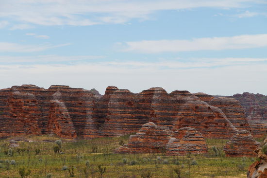 Bungles Bungles, sie gleichen Bienenstöcken und sehen farblich wunderschön aus.