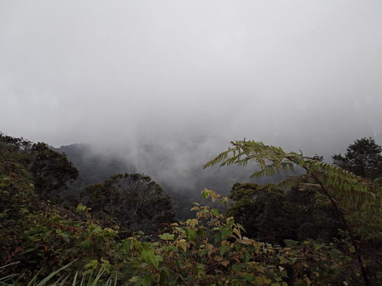 Unsere super Sicht vom Gunung Brinchang.