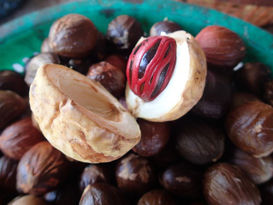 Nutmeg, diese Frucht gibt es nur auf Penang und in getrockneter Form bei uns als Muskatnuss bekannt.