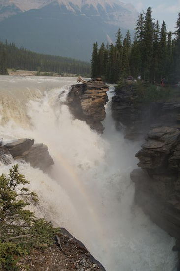 Athabasca Falls
