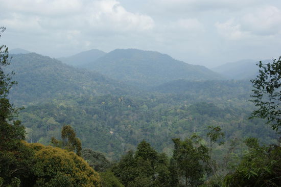 Sicht vom Bukit Teresek