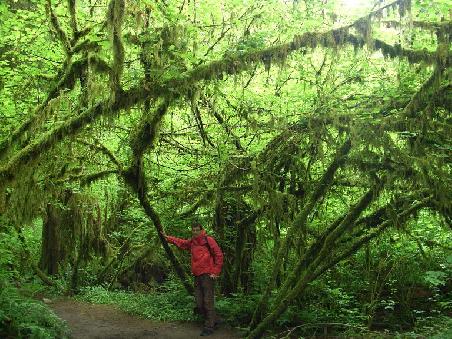 Lynn Canyon Park