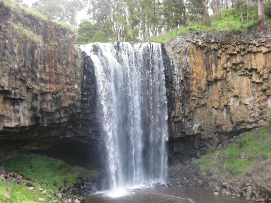 hier noch mal in voller Pracht, die Trentham Falls von unten, nach dem Regen der letzten Tage hatte er viel Wasser ... 
und auf dem Rückweg habe ich sie gefunden