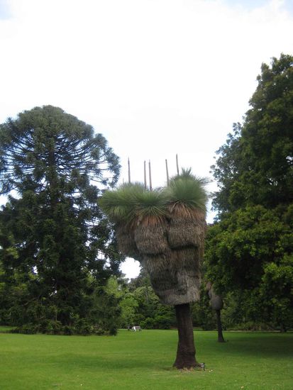 Das ist ein Gras Baum