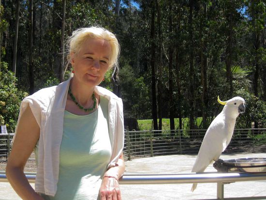 Und gleich ging es weiter zu den Kakadus.
Die Tiere werden hier von den Touristen gefüttert und können sich frei bewegen