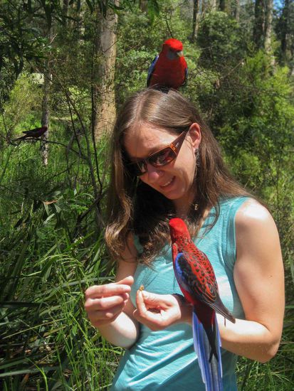 Zuerst habe ich mir das nur bei Katharina angesehen - das war mir doch etwas unheimlich