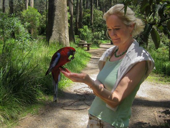 doch es war ganz einfach - man hält die Hand mit Futter auf und schon kommen sie angeflogen ...