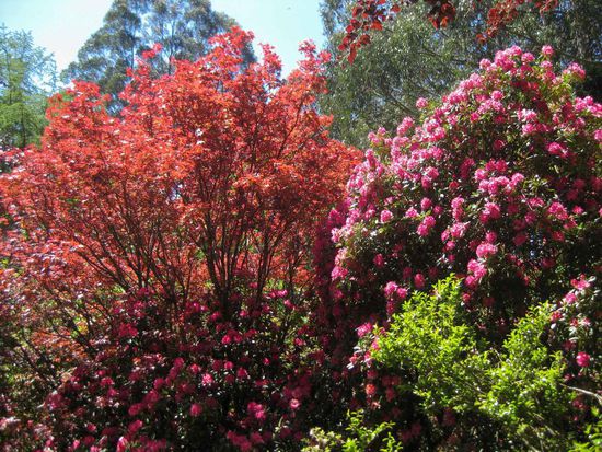 ... einfach nur schön