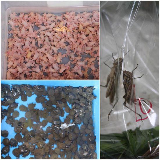 Kaum was, das nicht angeboten wird.