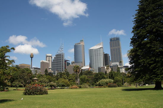 Skylineblick vom Royal Botanic Garden
