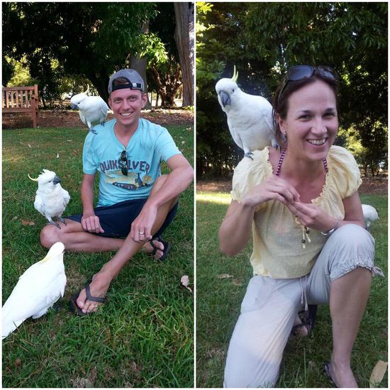 Warum nur einen Vogel haben wenn es hier davon so viele gibt?!