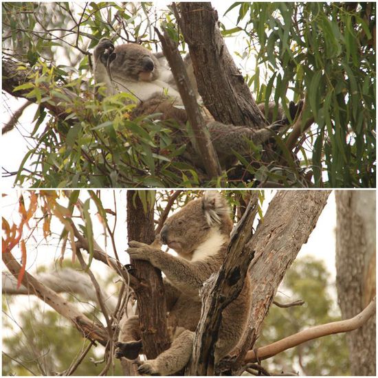 Geht es entspannter als bei dem Kollegen im oberen Bild?! Und was hält er denn in der Hand?!