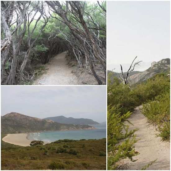 Überall können die giftigen Bewohner lauern..... 
Wir haben jedoch keine gesehen... 