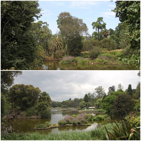 Auch Melbourne ist eine sehr grüne Stadt voller Parks, hier der Botanic Garden.