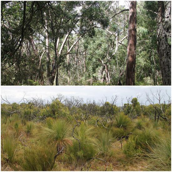 Hier haben wir wirklich bei jedem Schritt geschaut, wo wir hintreten...