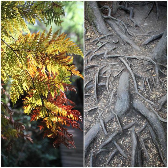 Irgendwie "lebendig"