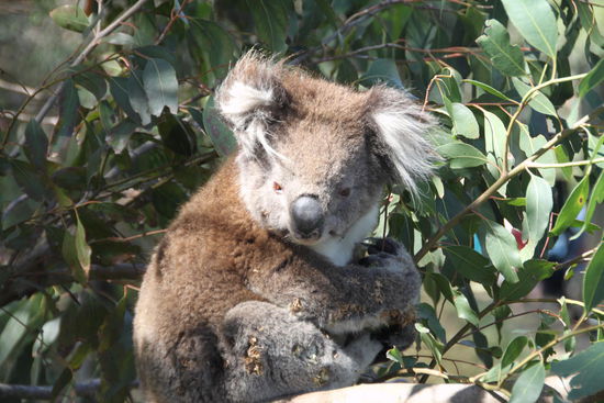 ...was soll man da noch scheiben...