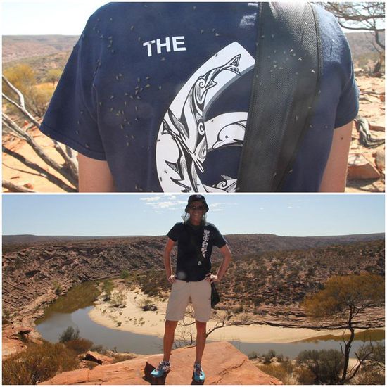 ....und die dann alle im Kamikaze Flug ins Gesicht...
...da hilft nur noch der nette Hochzeitsschleier...