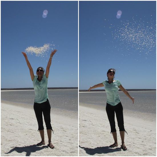 Hier ist das Meeresgetier bereits weitergezogen. Der "Shell Beach" besteht ausschließlich aus Herzmuscheln. Sooooo schön, da mussten wir einfach ein paar Werbeprospektaufnahmen machen 