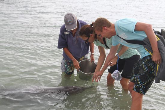 Wir gehörten zu den glücklichen Auserwählten, die ein Fischlein verfüttern durften.