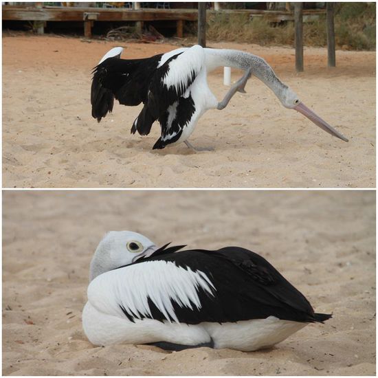 Die gibt es sogar in den unterschiedlichsten Formen und Größen 