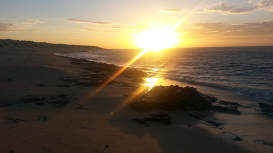 Wer sieht das Schildkrötenköpfchen?!