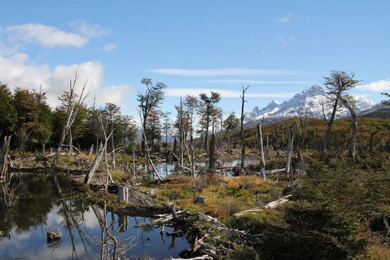 Tolle Landschaften und dreckige Schuhe