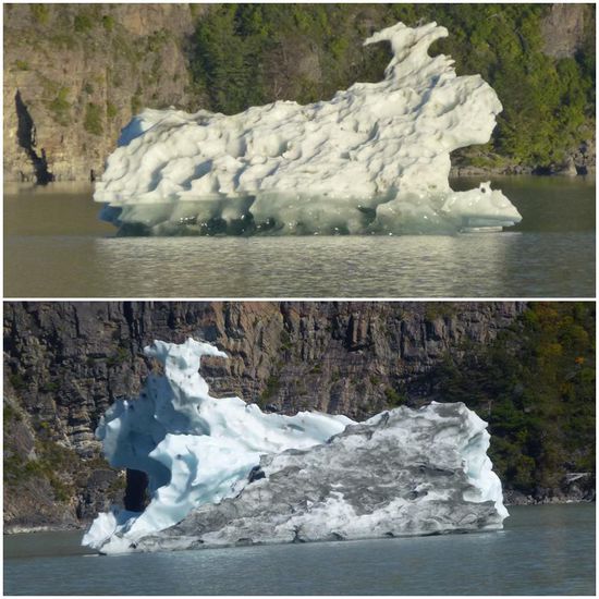 Auf dem Rückweg werden wir von vielen lustigen Fabelwesen unterhalten, die vorbei treiben.