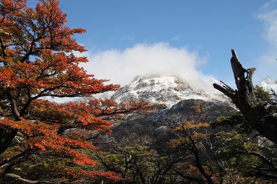 Die Kombination von bunt gefärbten Laubbäumen und Schnee &amp; Eis ergibt ein irres Bild und haben wir so bislang auch noch nicht gesehen. In Deutschland sind die Bäume eben schon kahl, bevor der erste Schnee kommt 