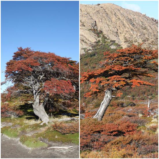 Auf dem Rückweg genießen wir nochmal die Farbenspiele.