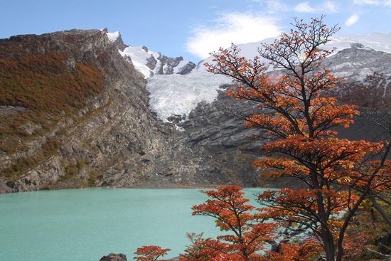 Oben angekommen war nicht der Gletscher selbst das eigentliche Highlight, sondern die von ihm gespeiste Lagune, die in einem fast unwirklichen türkis-grün schimmerte.