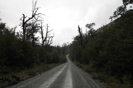 Feldweg?!
Nein!
Carretera Austral - Bestandteil der Panamericana, jener berühmten Straße, die sich durch den gesamten amerikanischen Kontinent von Alaska bis Feuerland zieht. Hier eben mal einspurig, aber so viel Verkehr gab's auch nicht.