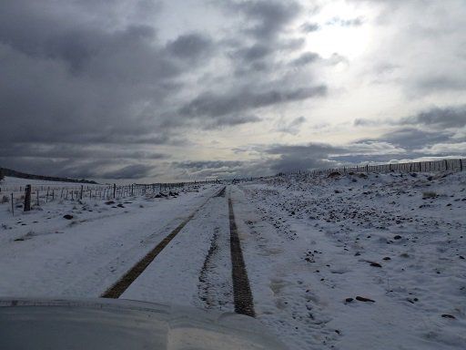 Verbindungsstraße Chile - Argentinien
Voll in der Pampa - hier hat sich der 4x4 mal gelohnt.
