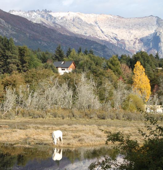 Wat!?! Wer bist du denn?!