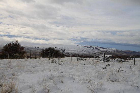 Da drüben hinterm Zaun liegt Argentinien. Da GPS auch in den abgelegendsten Ecken funktioniert, sehen wir, dass die Grenze, wenn auch nicht sichtbar, nur wenige Meter neben uns verläuft.