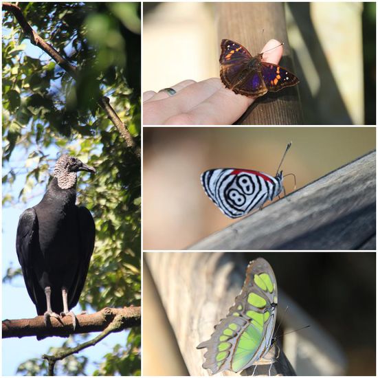 sonstige Farben oder sogar Zahlen.
Nichts, was es nicht gibt!