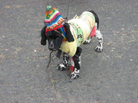 Und mit dem Klischee der bunten Ponchos wurde auf der Reise auch aufgeräumt: einen solchen tragen hier nicht nur die Menschen