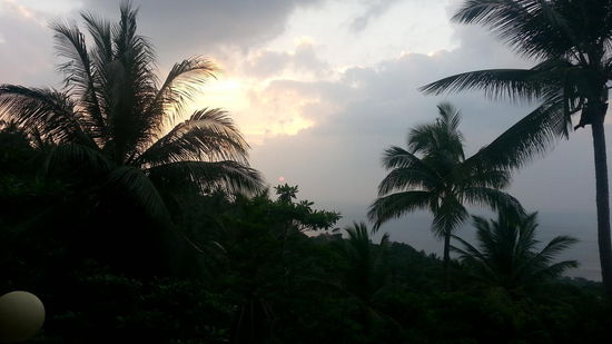 ...und mitten im Dschungel gelegen mit einem traumhaften Blick aufs Meer.