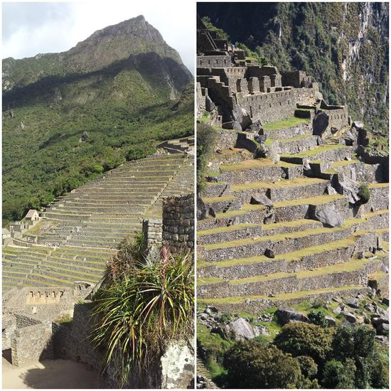 Viiieeeele Terrassen